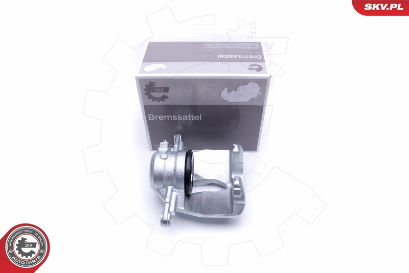 Brake Caliper